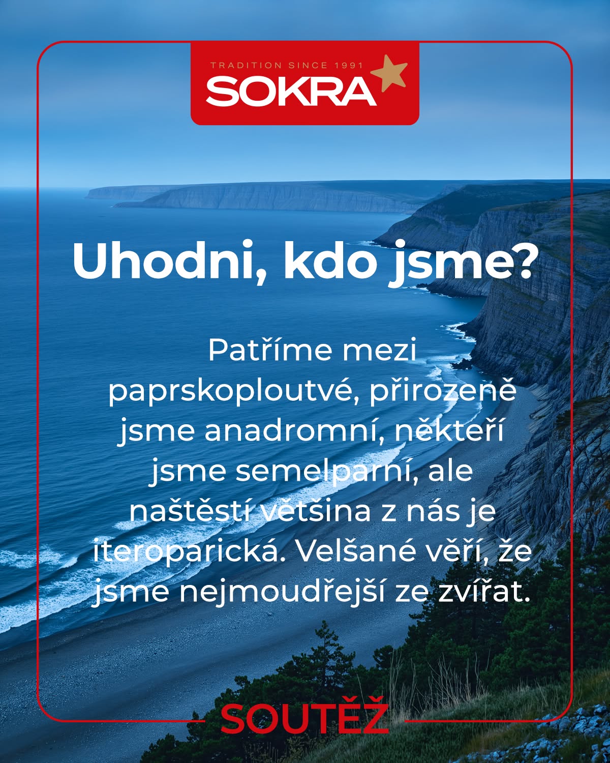 Soutěž SOKRA o balíček produktů