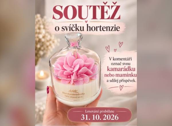 SOUTĚŽ Svíčky od medvídka: vyhrajte svíčku hortenzie (1 výherce)