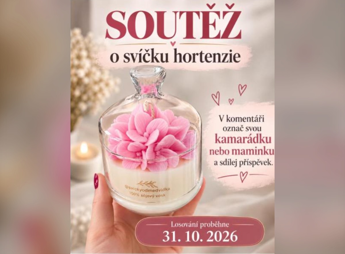 SOUTĚŽ Svíčky od medvídka: vyhrajte svíčku hortenzie (1 výherce)