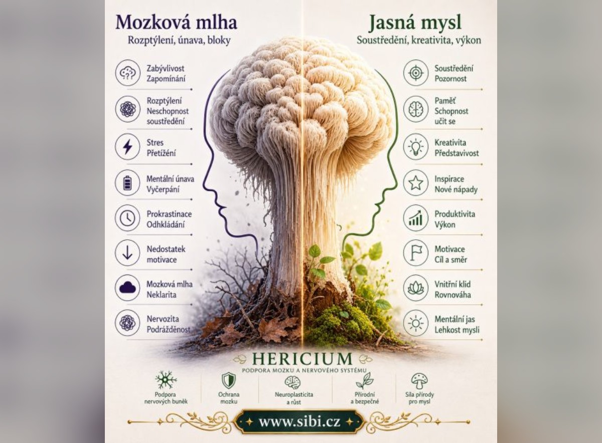 Vyhrajte Hericium pro péči o paměť, soustředění a mentální kondici